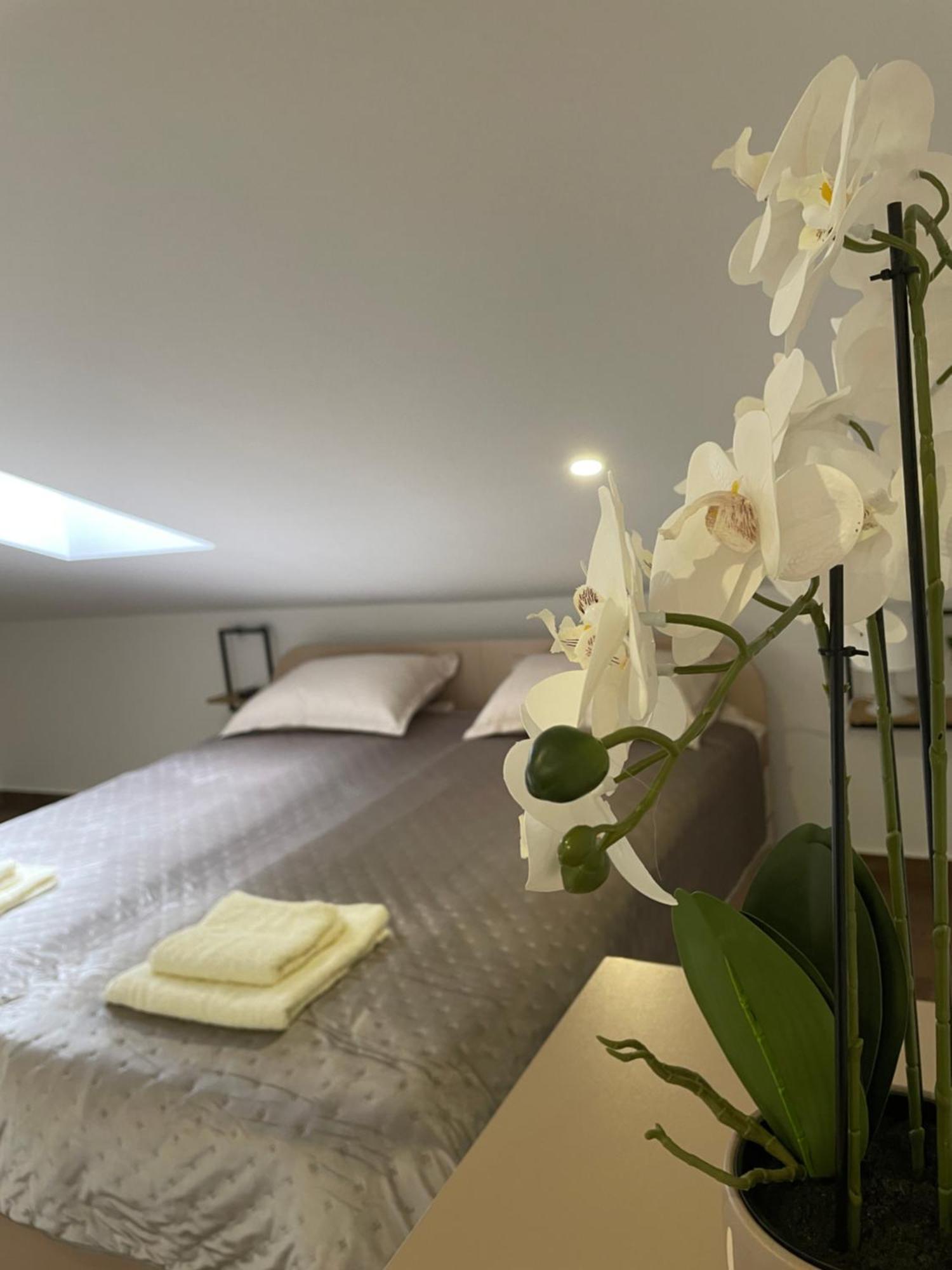 Joy Apartment 6 بلغراد المظهر الخارجي الصورة